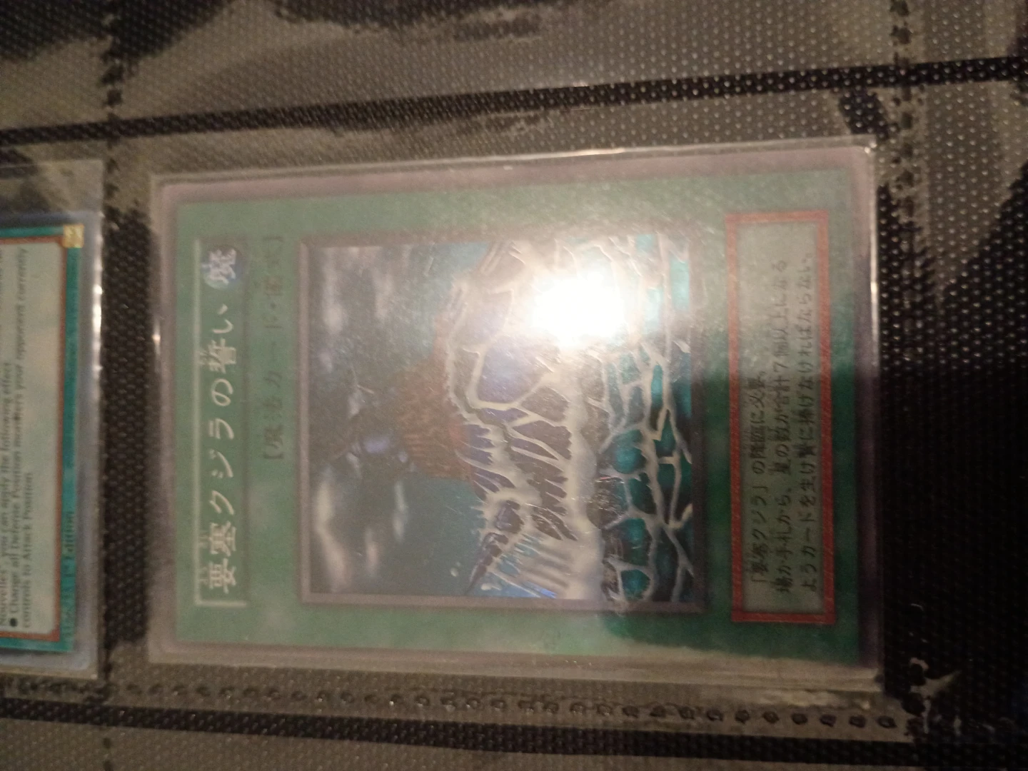 Fortress Whale's Oath Yu-Gi-Oh! Card🏈