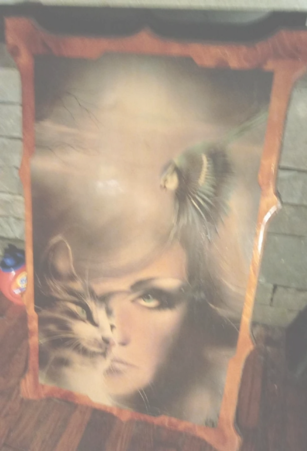 Vintage Wall Art - Woman with Cat and Bird, Wood Frame