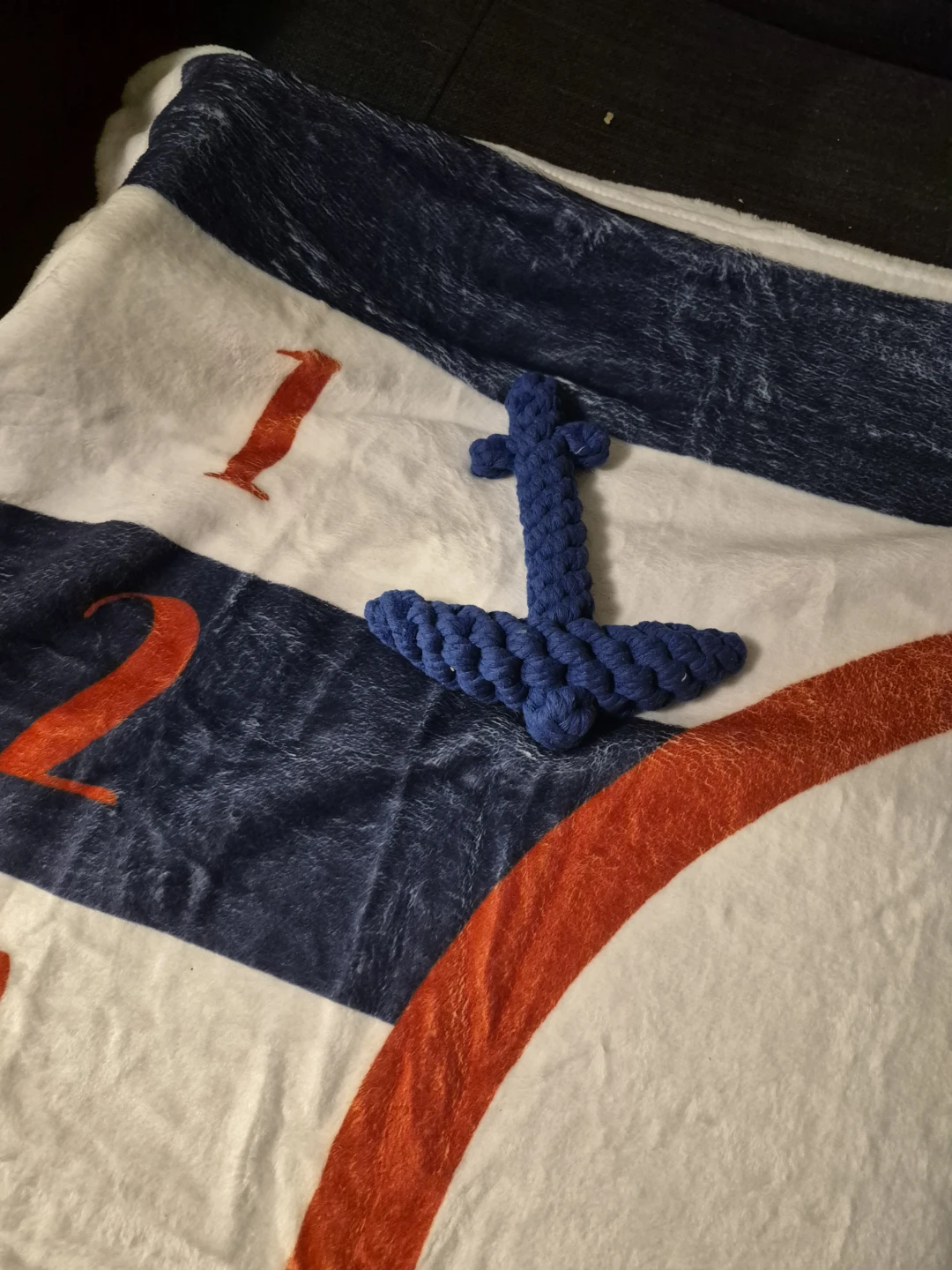 Baby Milestone Blanket with Anchor Marker - photo 2