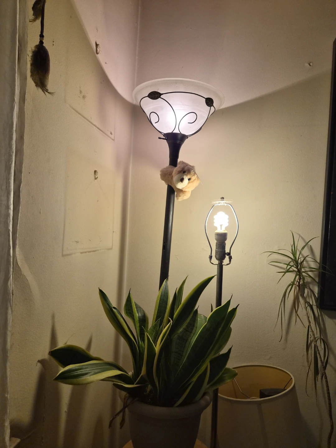 🏈Black Floor Lamp with Frosted Glass Shade