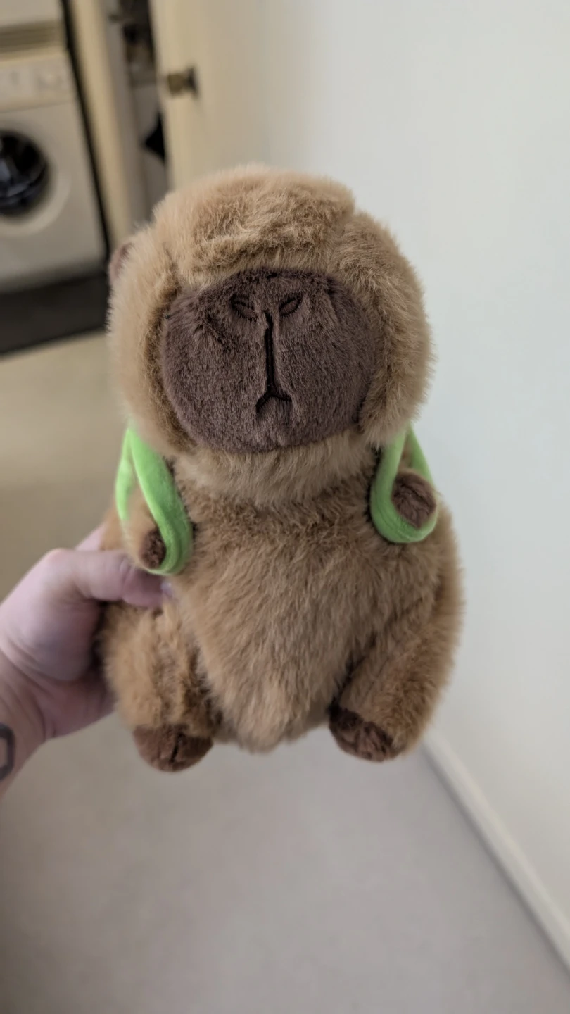 Capybara plush toy with turtle backpack