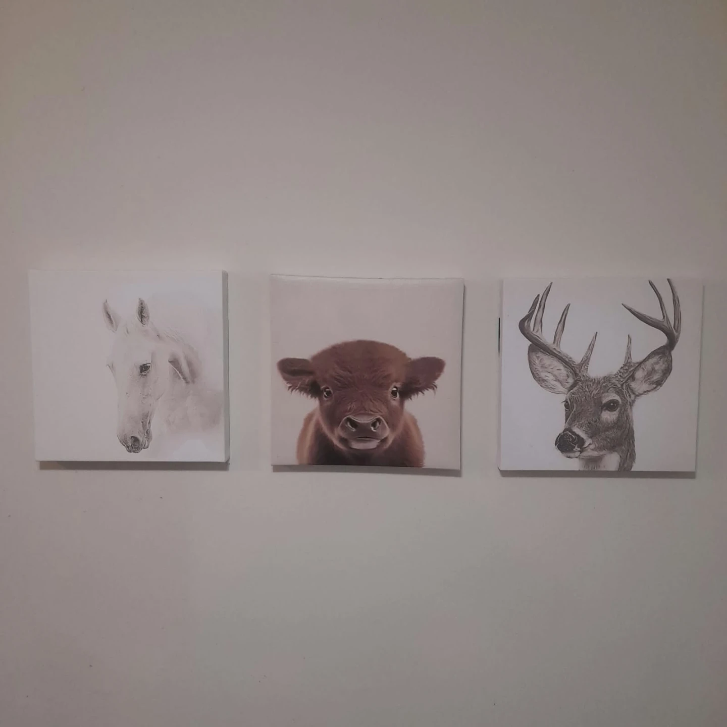 Set of 6 Animal Canvas Wall Art Prints 🏈 - photo 2