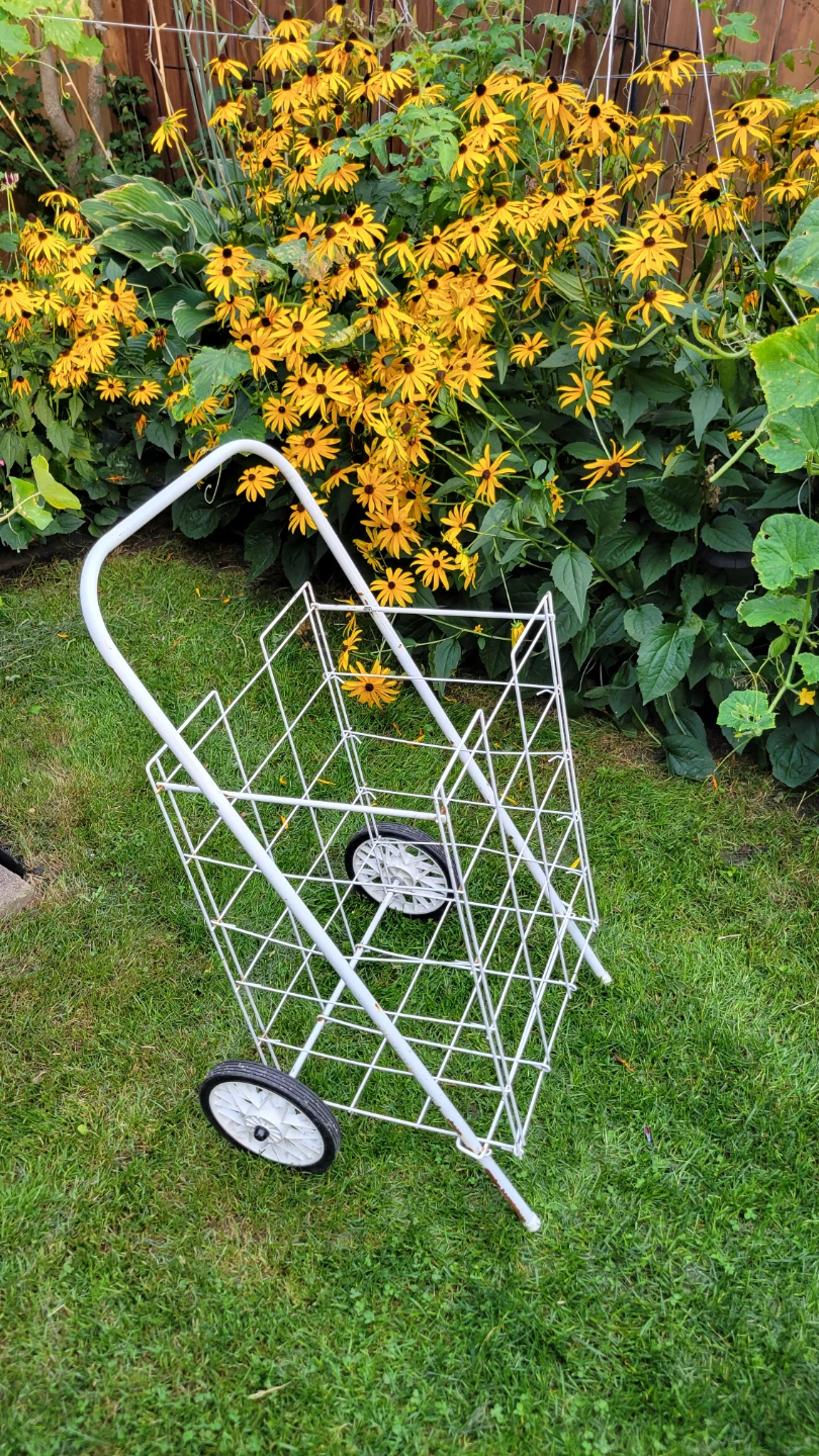White Folding Shopping Cart-$10