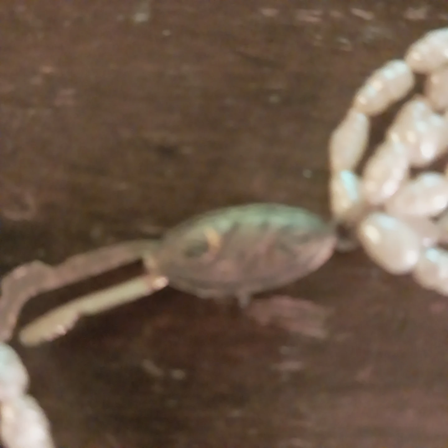 Multi-strand Seed Pearl Necklace - photo 3