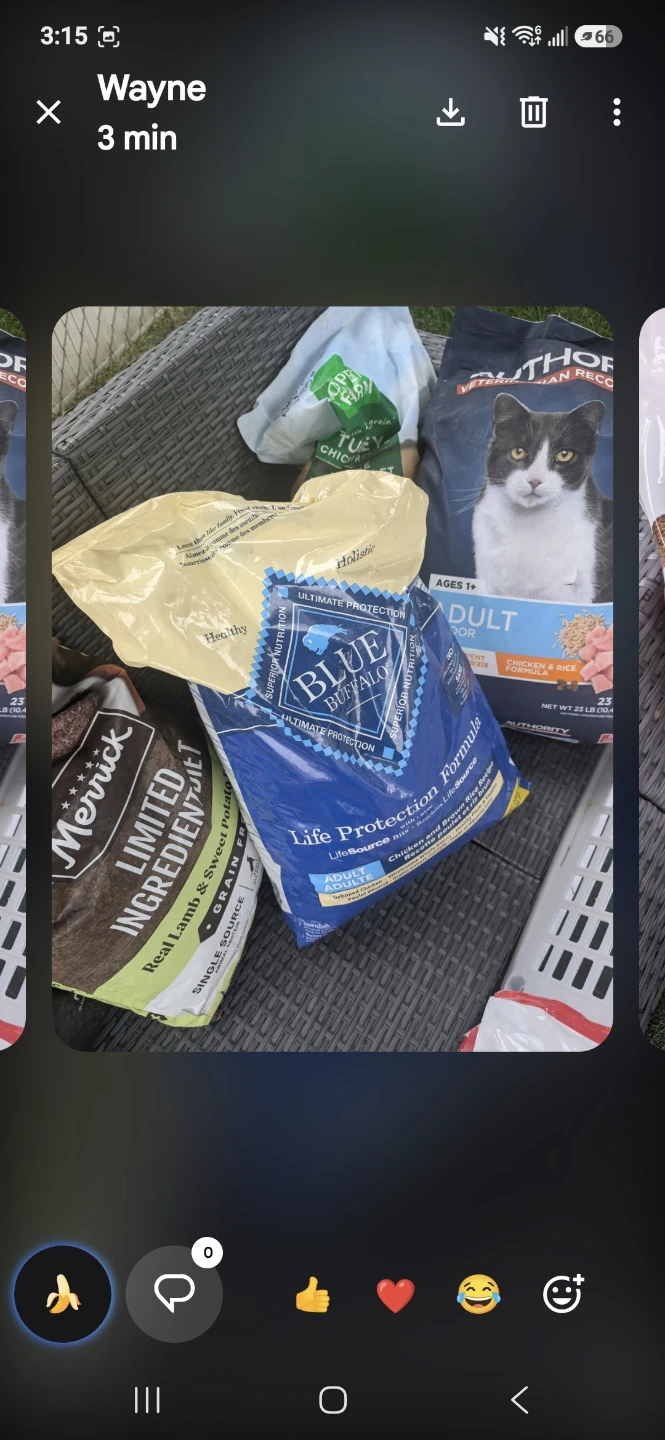Wide variety of dog and cat food - photo 3