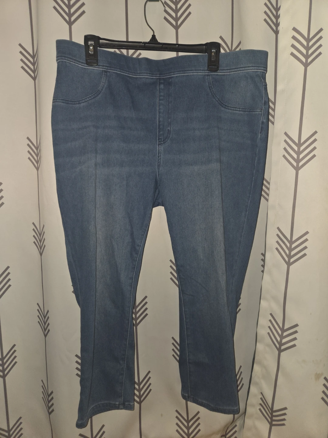 Time and Tru Blue Jeans XXXL (22)