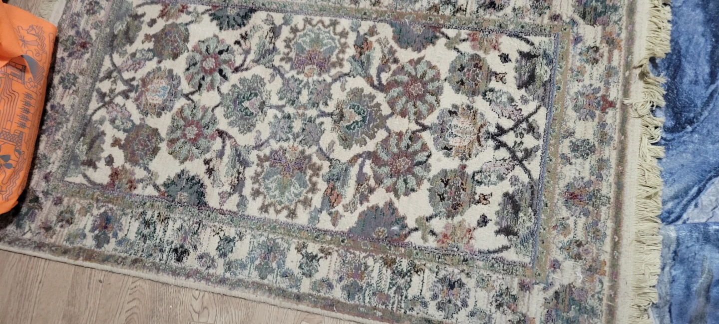 Vanini Collection Area Rug - photo 4