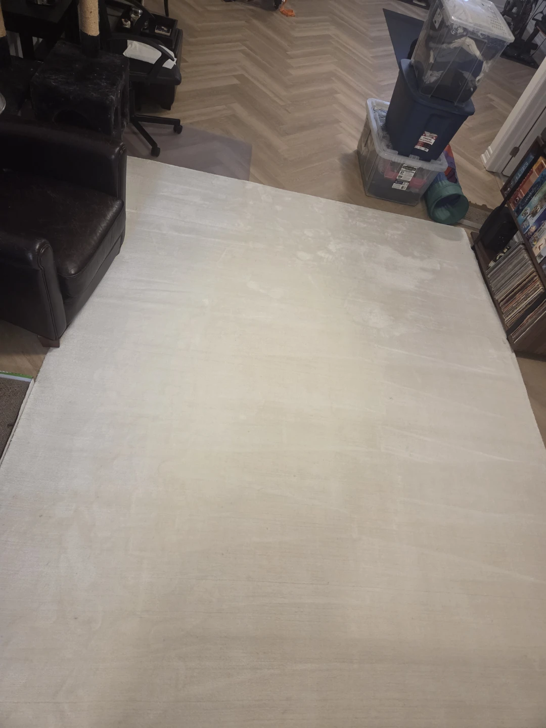 CB2 Leonore Handloomed Warm White Wool Area Rug 8'x10'