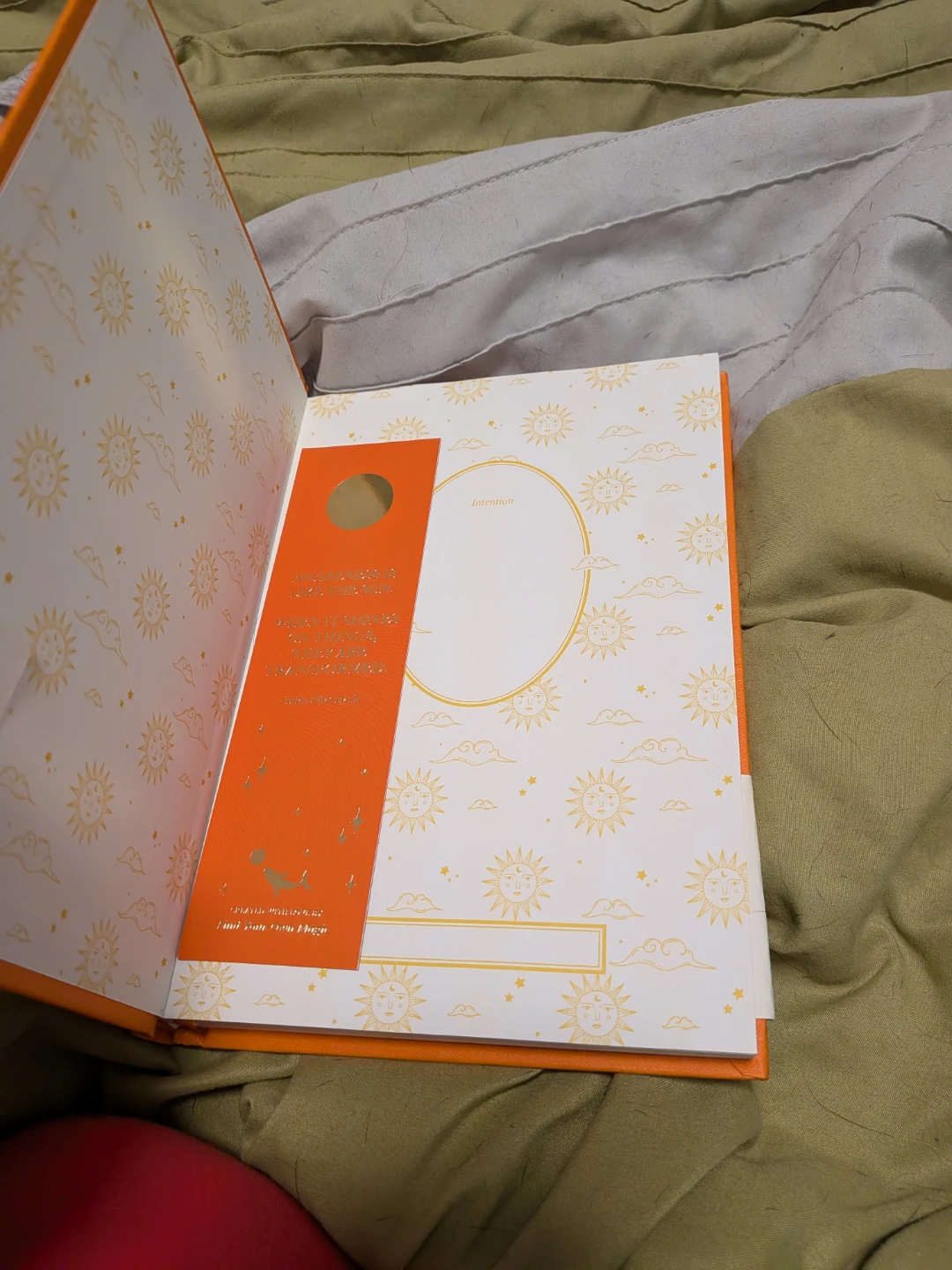 Observations Daily Gratitude Journal - photo 3