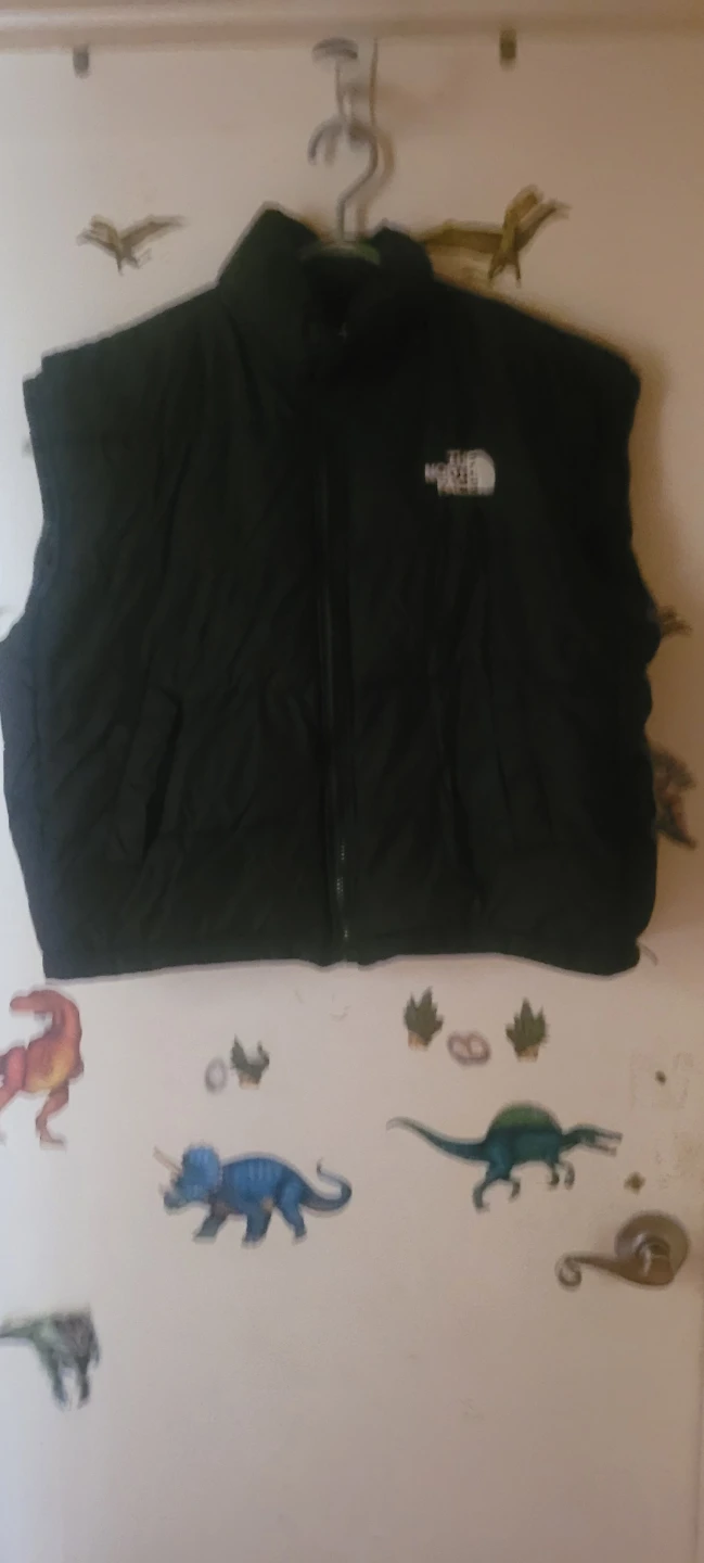 The North Face Summit Series Puffer Vest