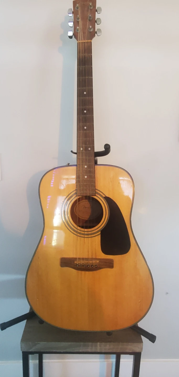 Fender DG8S Acoustic Guitar with stand
