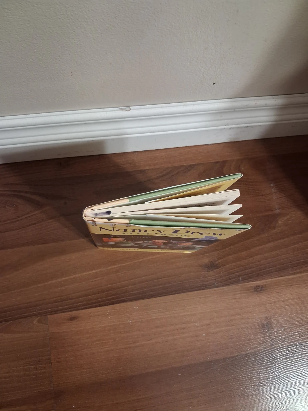 Nancy Drew Clue Book #3: A Star Witness - photo 3