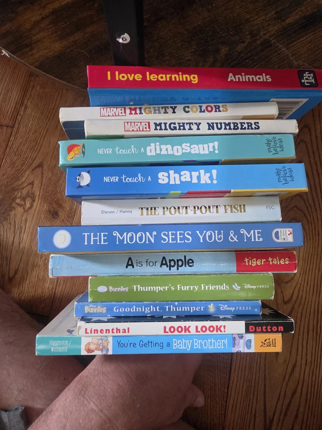 Set of 12 Assorted Children's Board Books