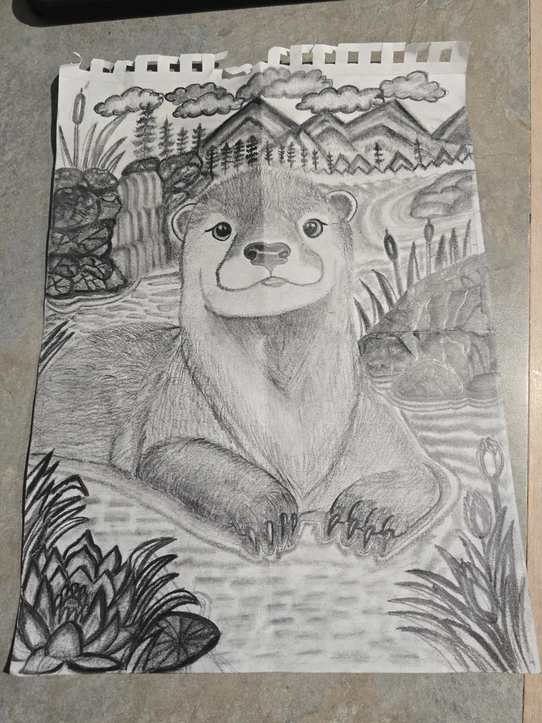 Original pencil and coloured pencil drawings - photo 2