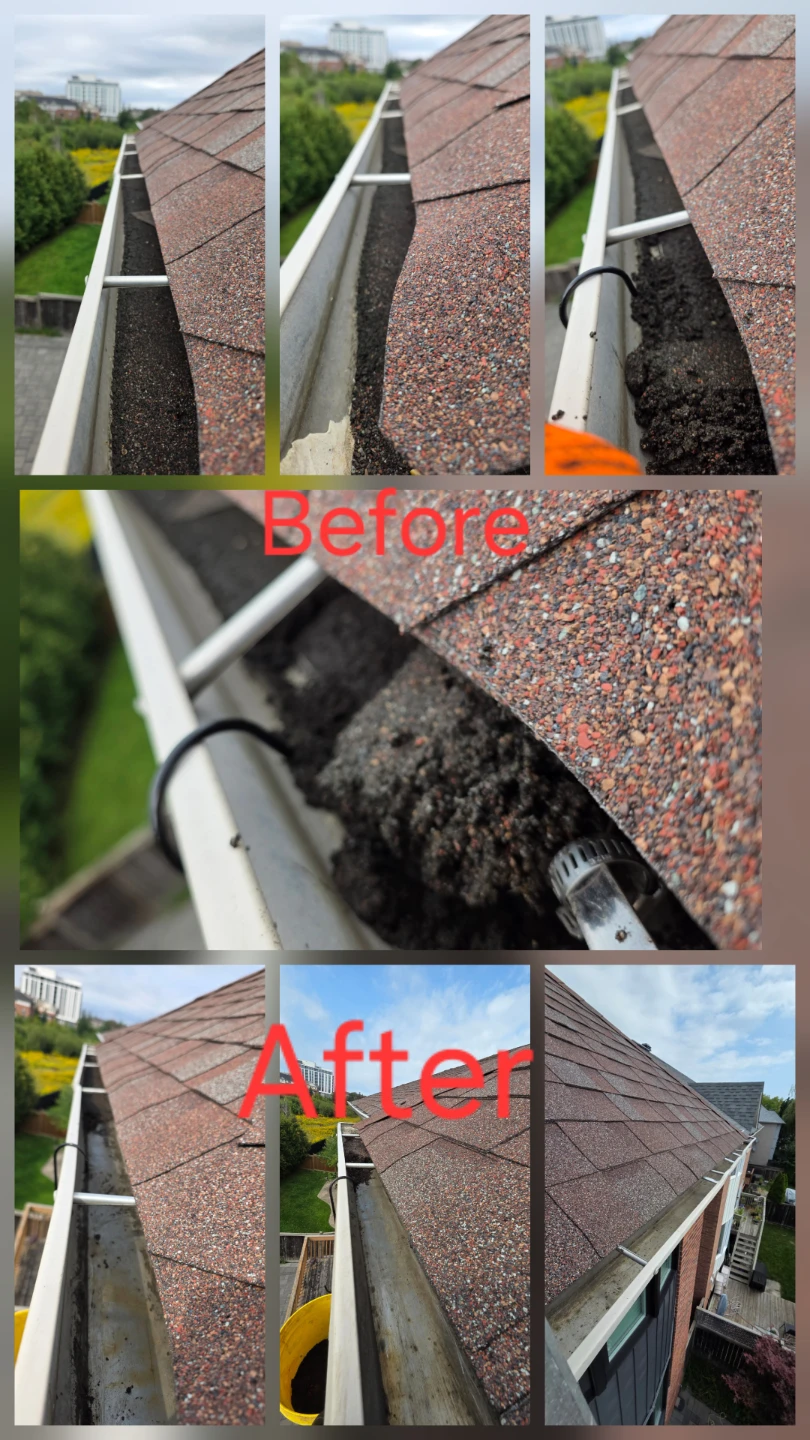 Eavestrough Gutter Cleaning Service