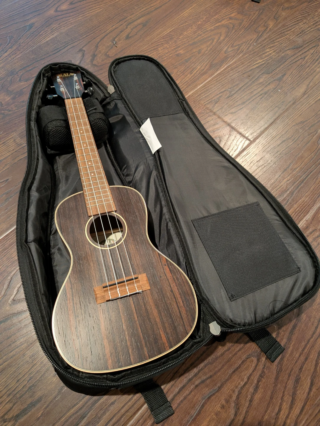 Kala KA-EBY-C Concert Ukulele