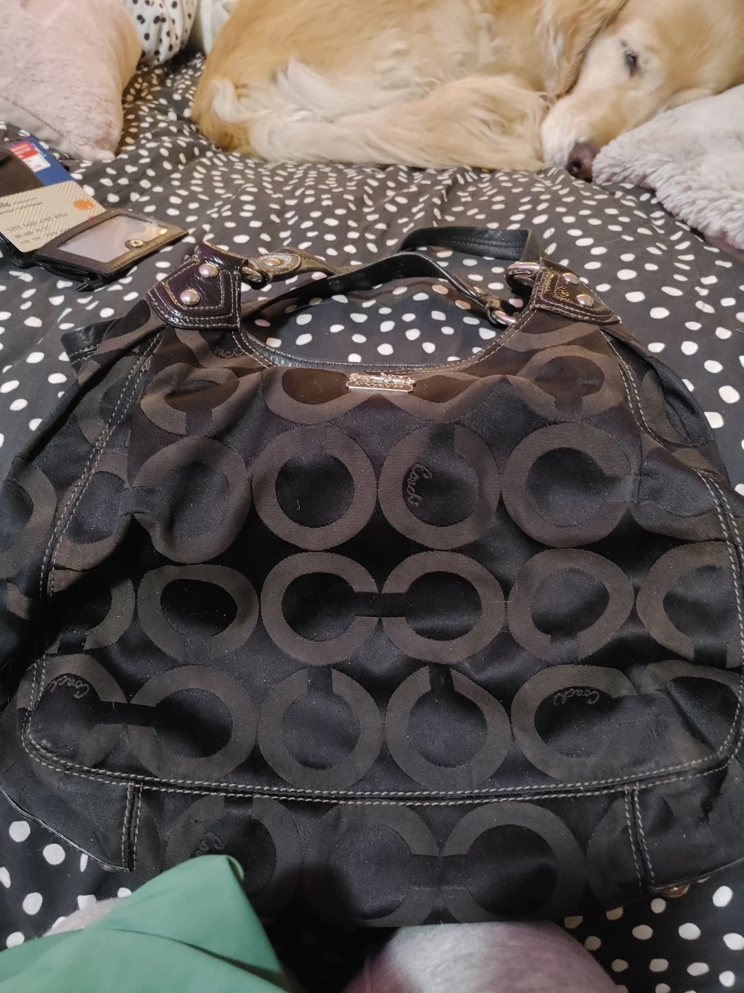 Coach Signature Hobo Bag Black