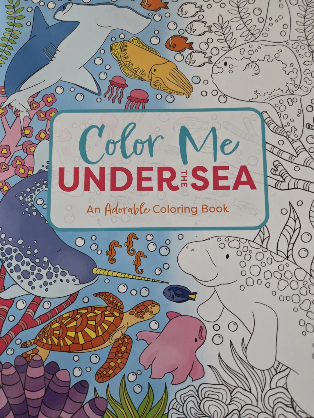 Large Coloring Book 107pages