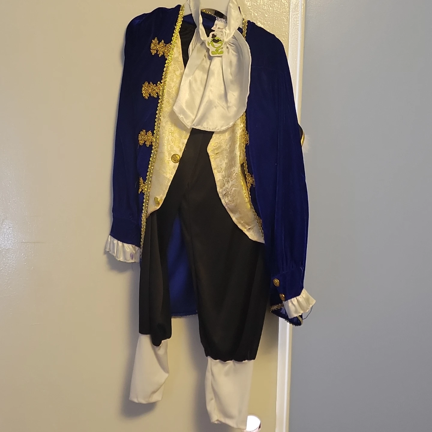 Colonial Style Costume