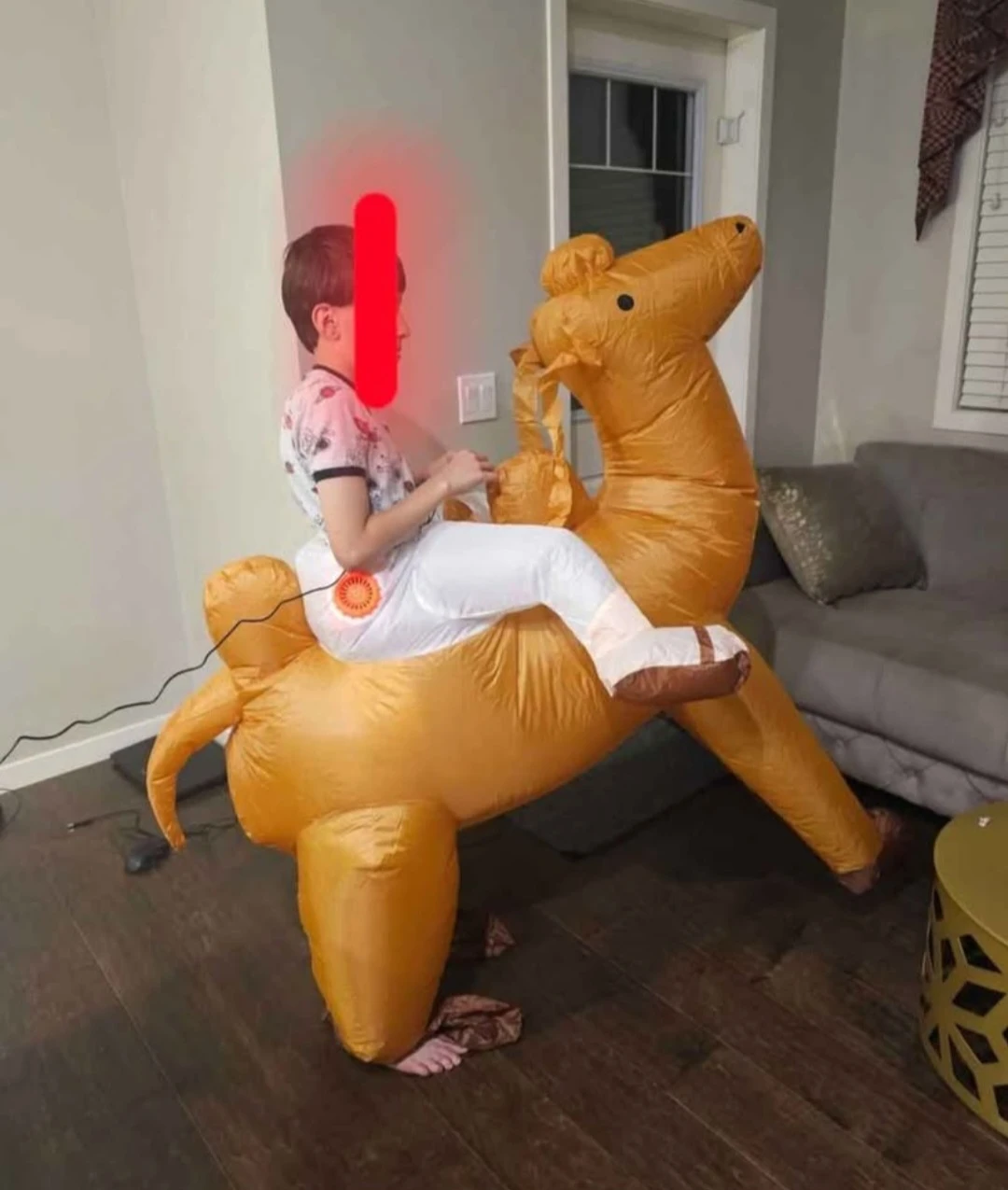 Inflatable Camel Halloween Costume