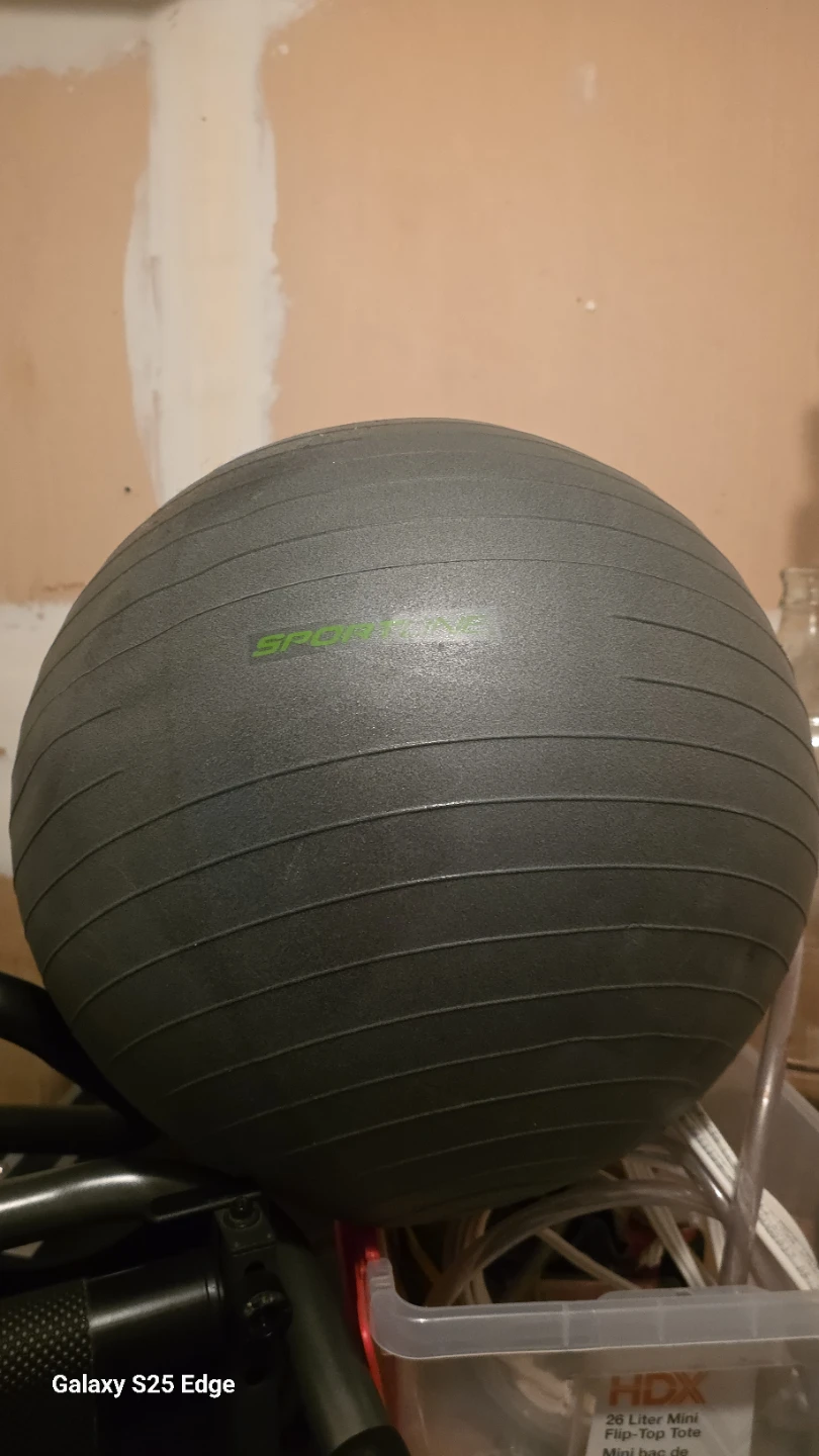 Sportline Stability Exercise Ball
