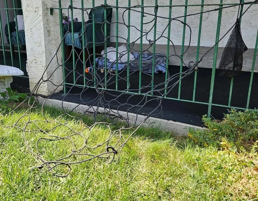 "Spidee" Truck Cargo Net - photo 3