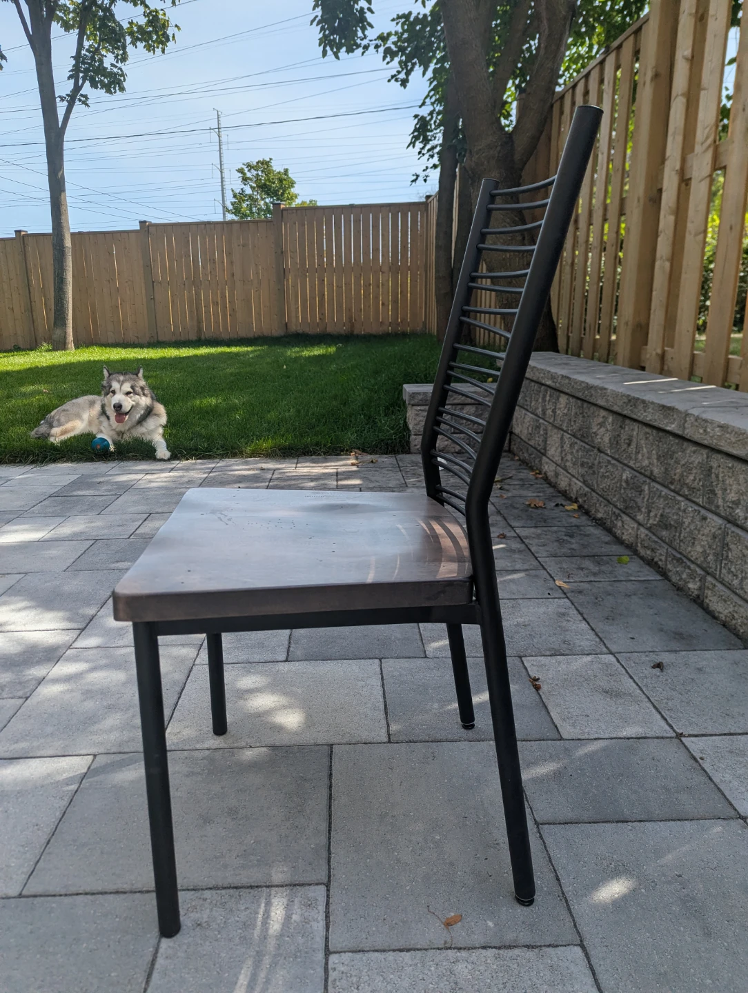 Metal and Wood Dining Chair - Set of 6 - photo 5