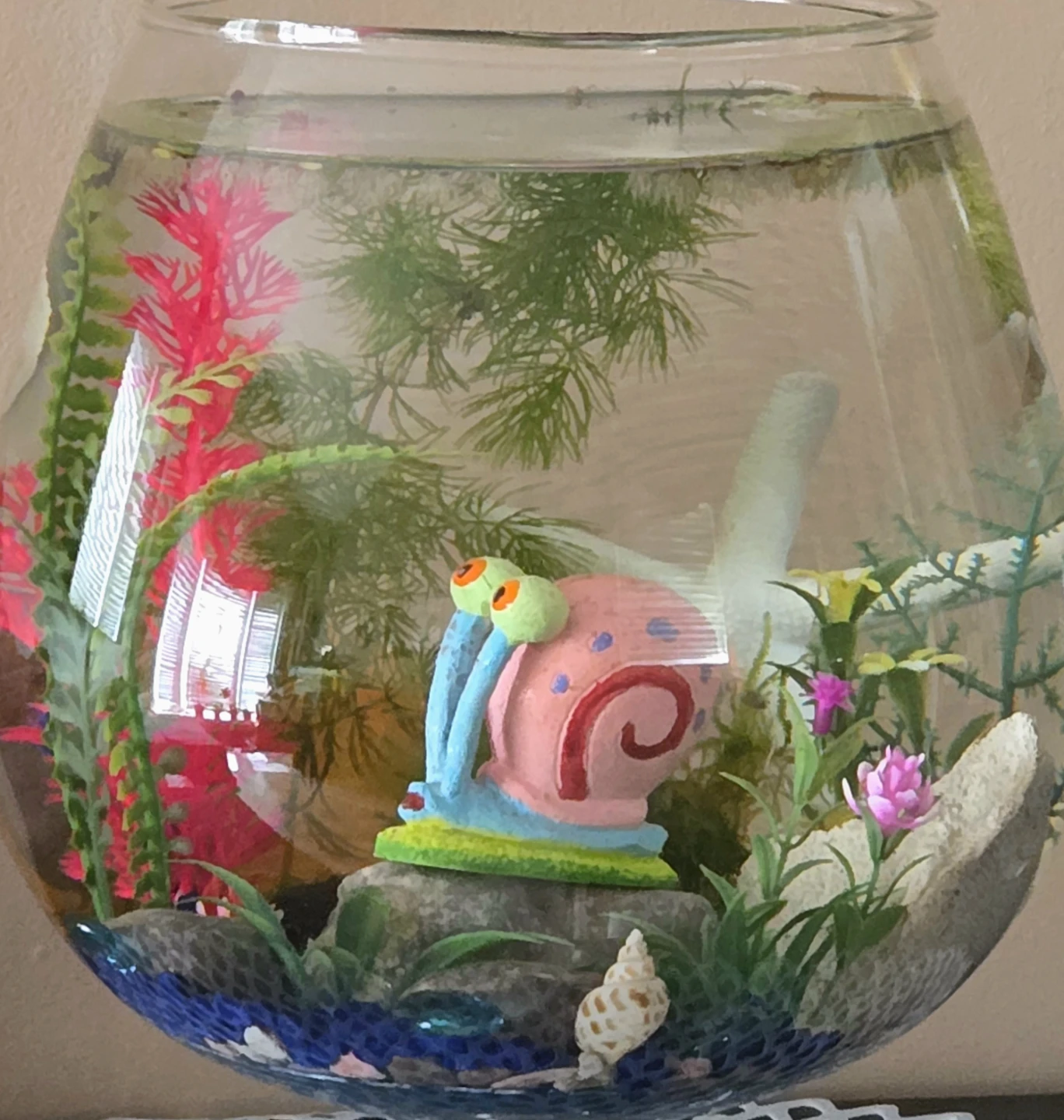 Glass-Shaped 2 Gal Aquarium