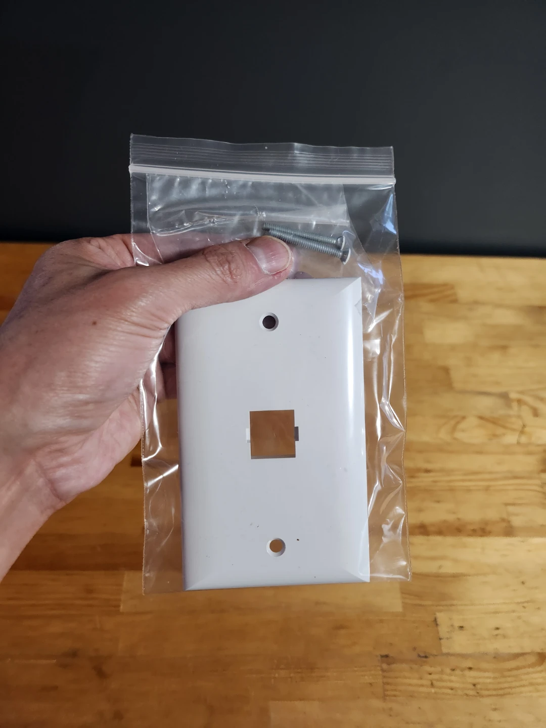 Single Network Port Wall Plate with Screws 🏈 - photo 4