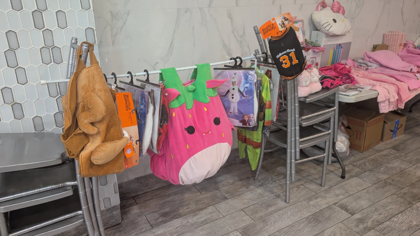 HUGE LIQUIDATION SALE IN HARLEM NYC! - photo 2
