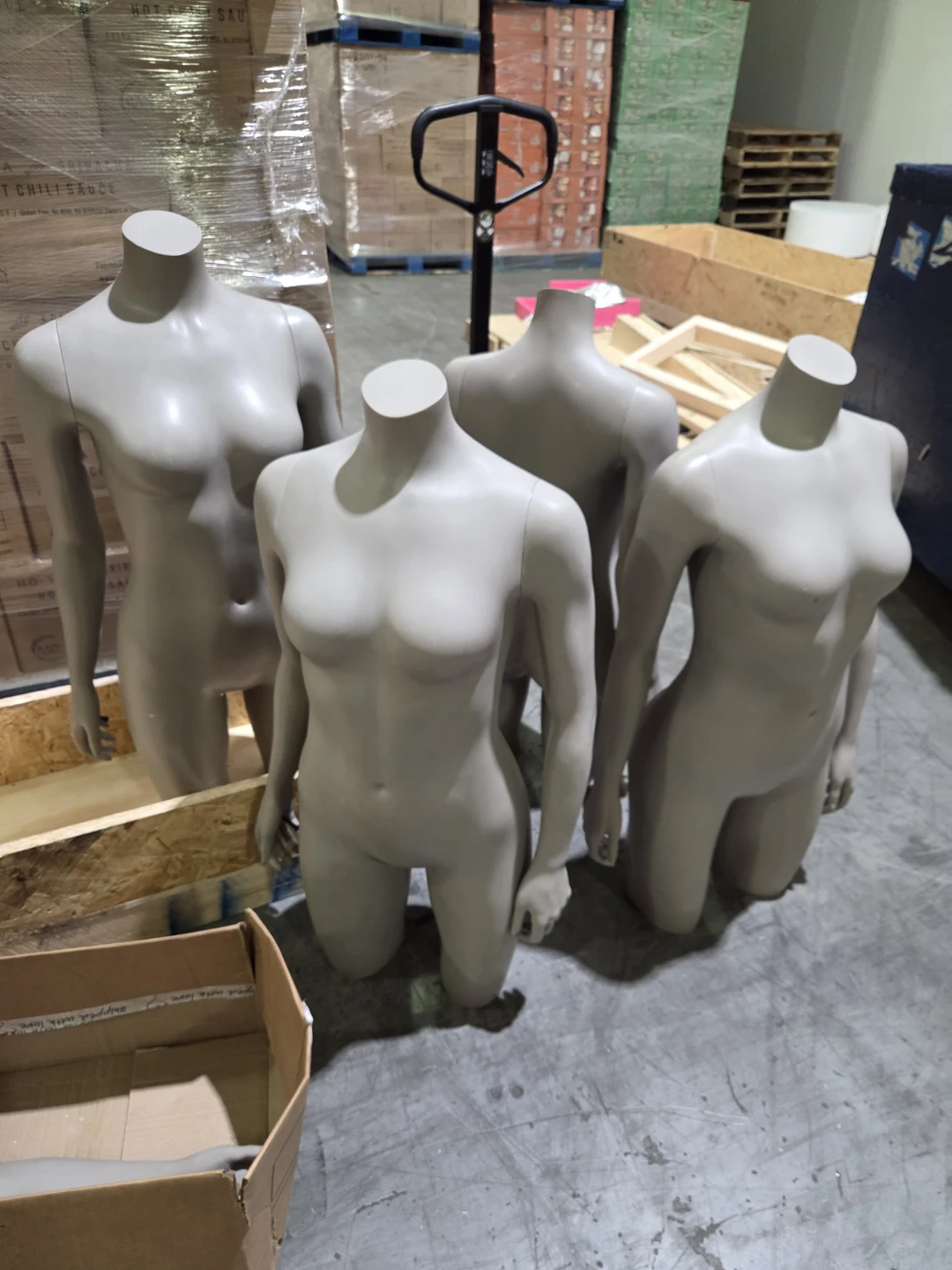 Female Torso Mannequin Display