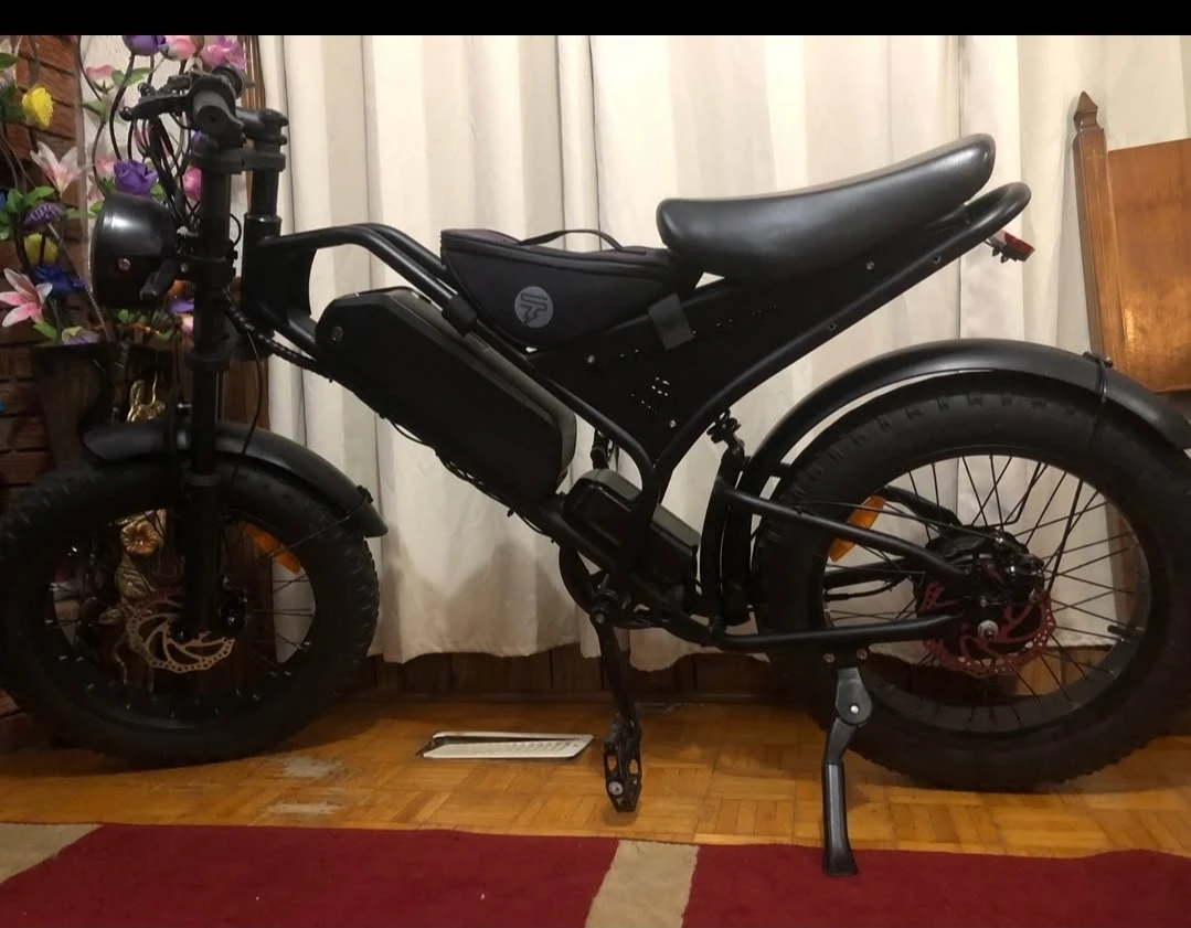 Electric Bike Smarttravel DK400