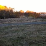 7.2 Acre Vacant Land Lot - photo 2