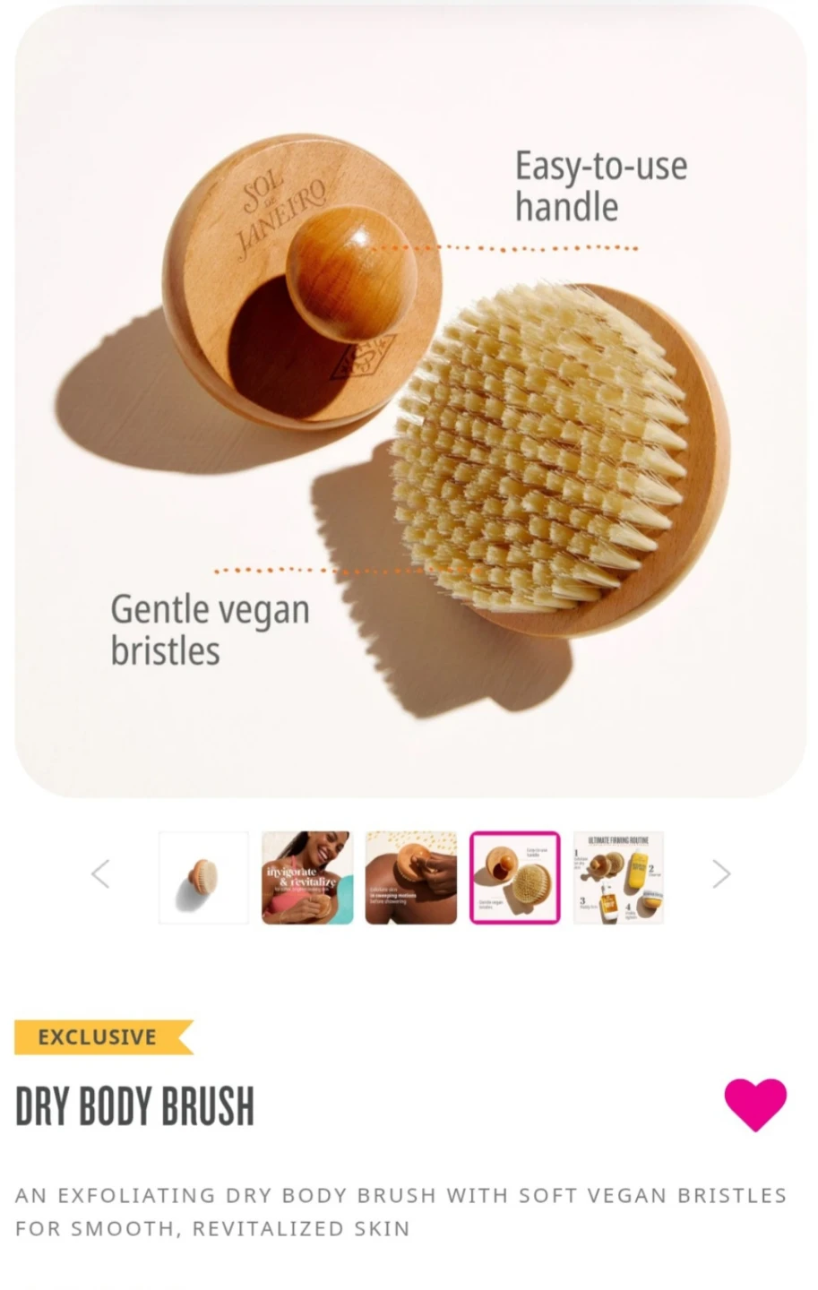 SDJ Dry Body Brush - photo 3