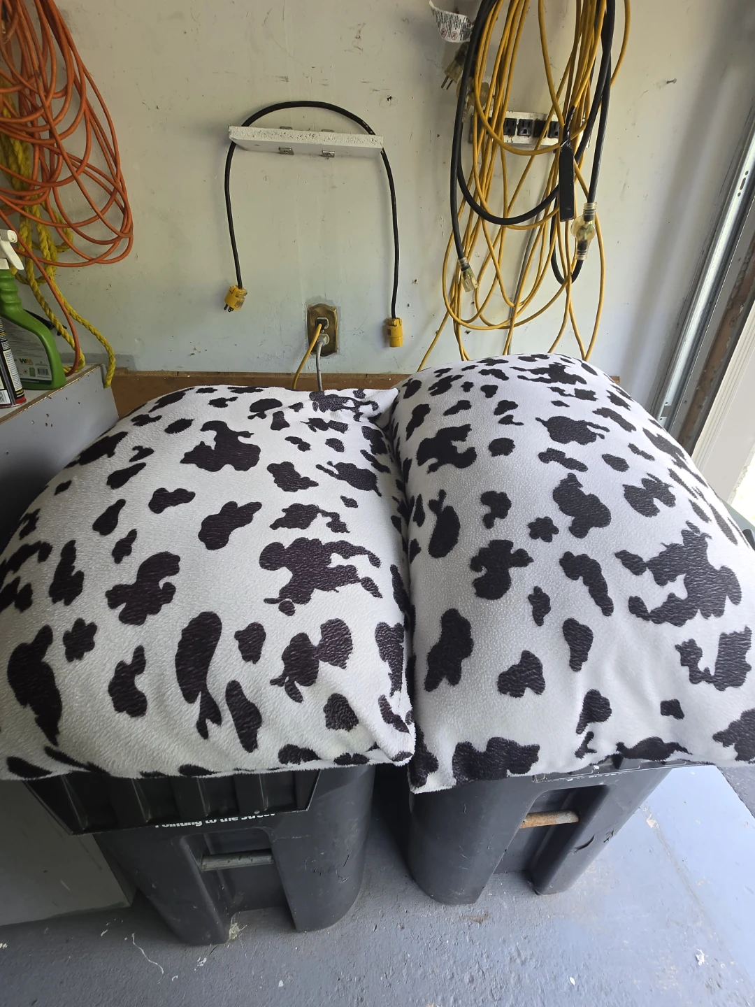 Set of Two Cow Print Pillows