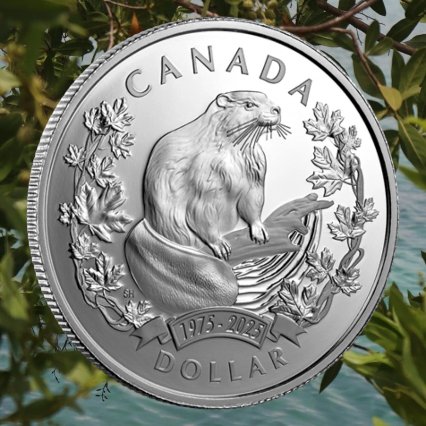2025 Special Edition Proof Silver Dollar