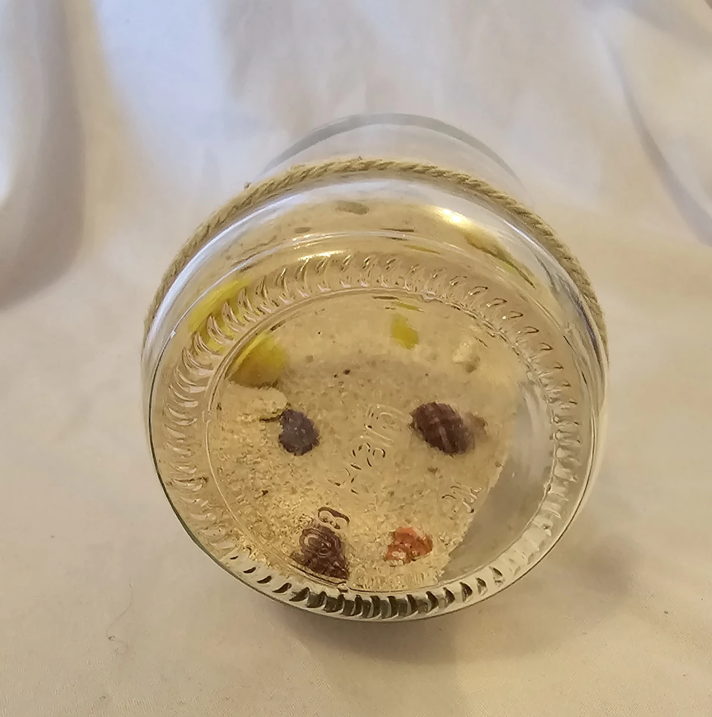 Multi-Coloured Punta Cana Glass Bottle with Sand and Shells - photo 4