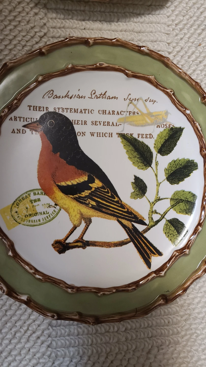 Set of 2 Vintage Bird Decorative Plates - photo 2
