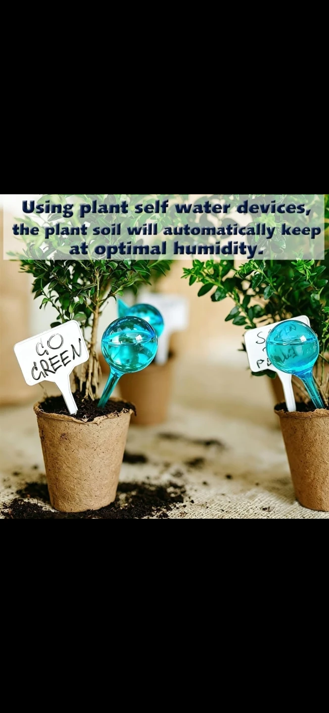 12 Pack Large Plant Self Watering Globes - photo 3