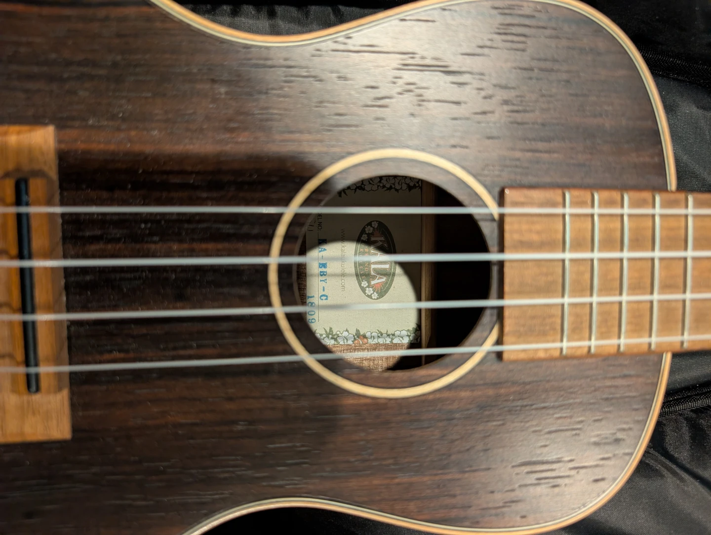 Kala KA-EBY-C Concert Ukulele - photo 4