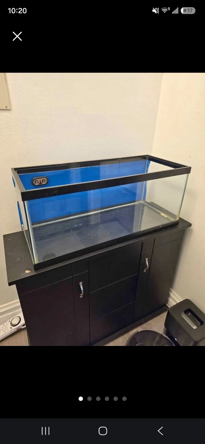 20 Gallon Glass Aquarium Tank with Stand