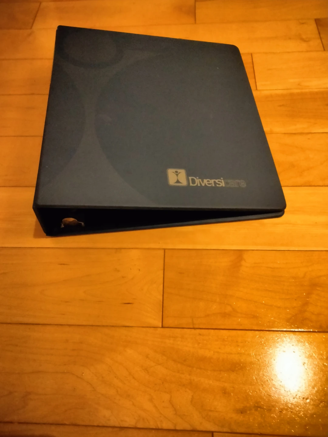 Diversicare 3-Ring Binder