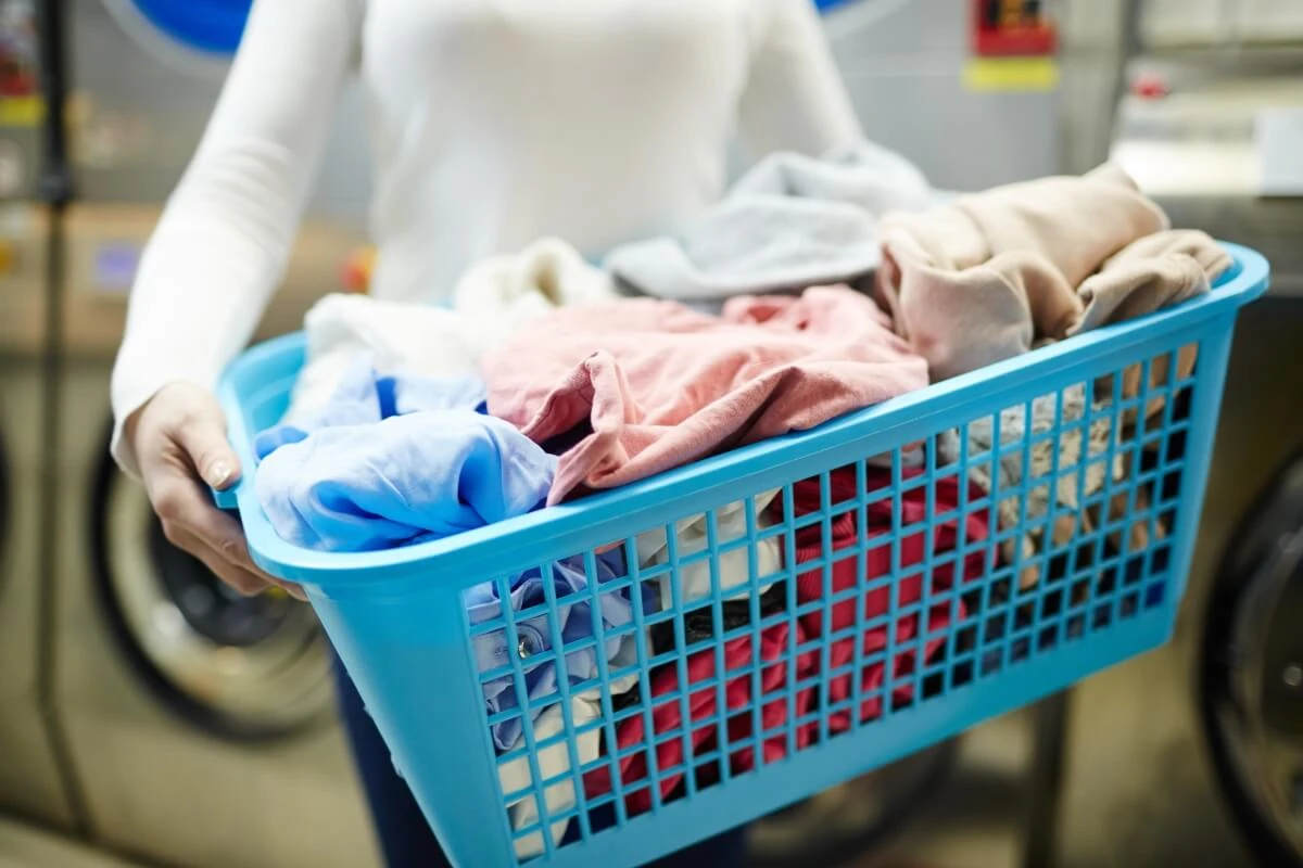Professional Laundry Service Pickup and Delivery - photo 2