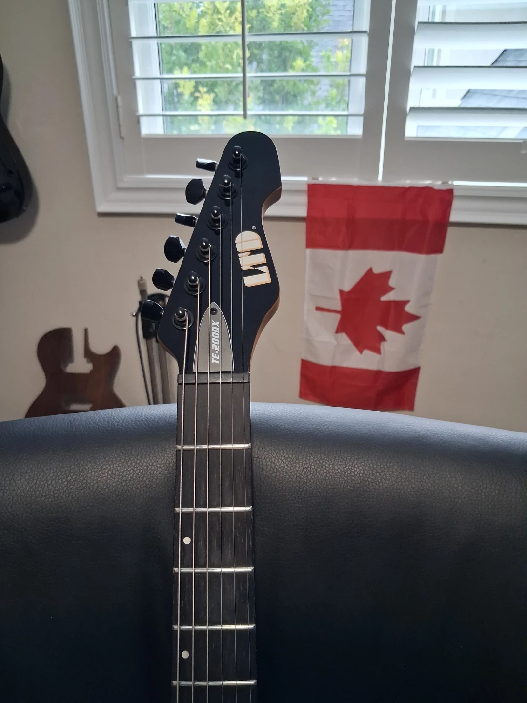 Guitar - photo 4