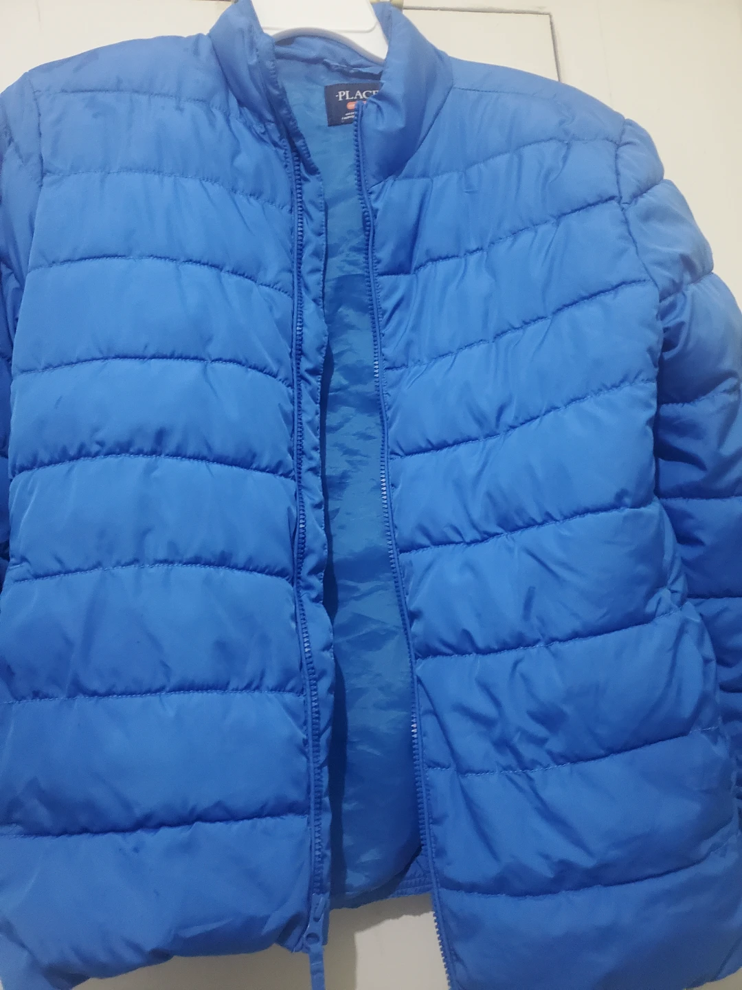 The Children's Place Blue Puffer Jacket