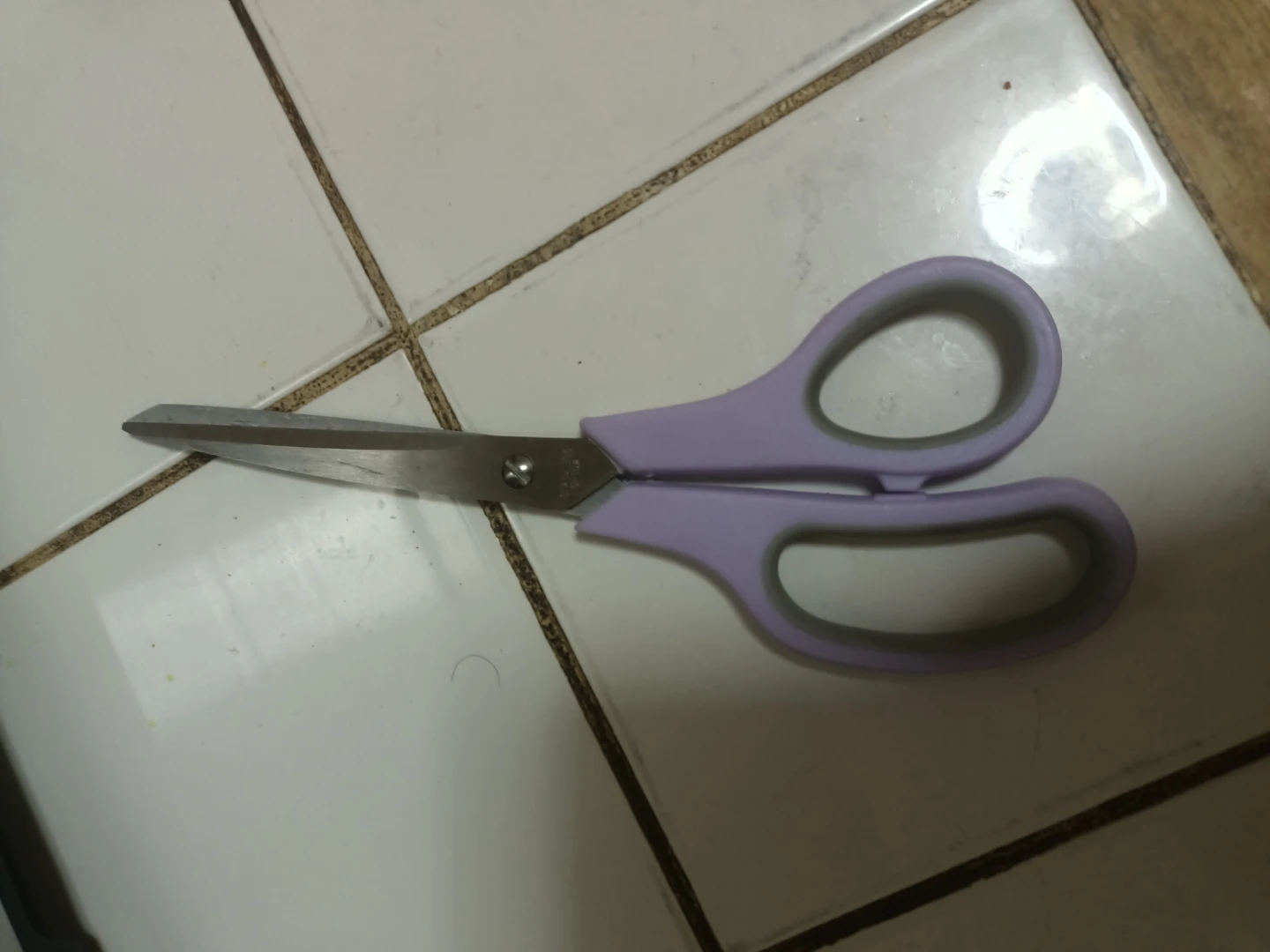 Purple Soft Grip Scissors🏈
