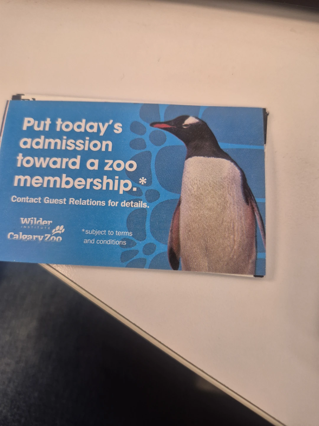 4 calgary zoo tickets available