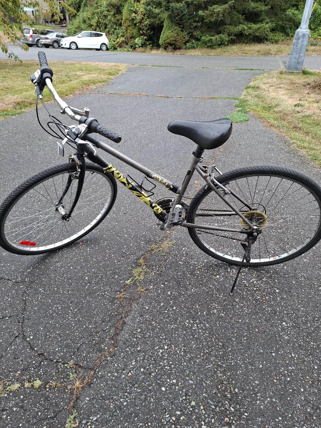 Raleigh Access One Bicycle