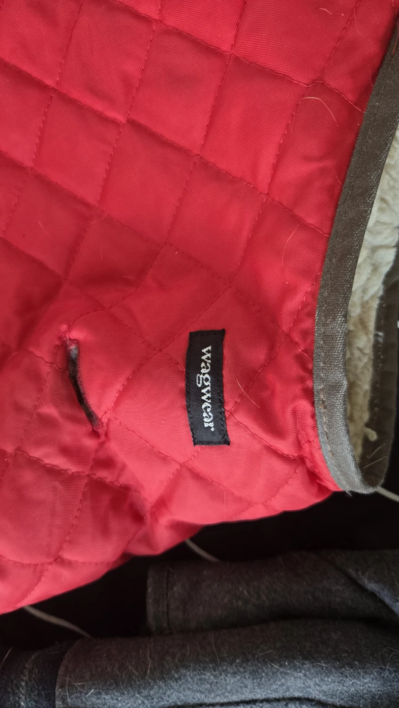 Wagwear and Carnival Hill Dog Coats - photo 2