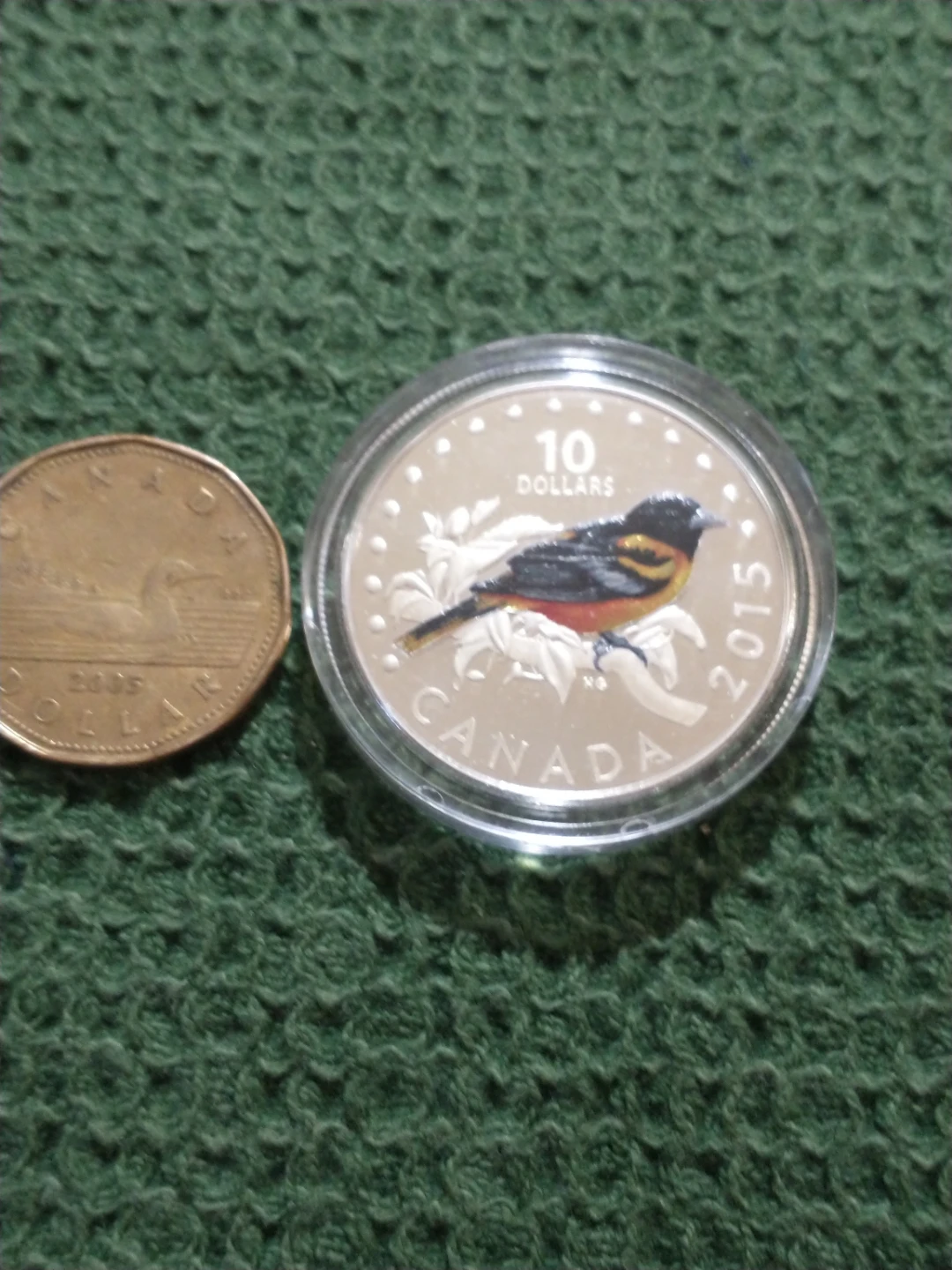 2015 Canada 10 Dollars Fine Silver Coin Magnolia Warbler KM#C188 - photo 2